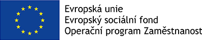 Evropský sociální fond